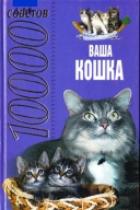 Скачать книгу Ваша кошка. 1000 советов без регистрации